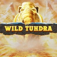 Wild Tundra